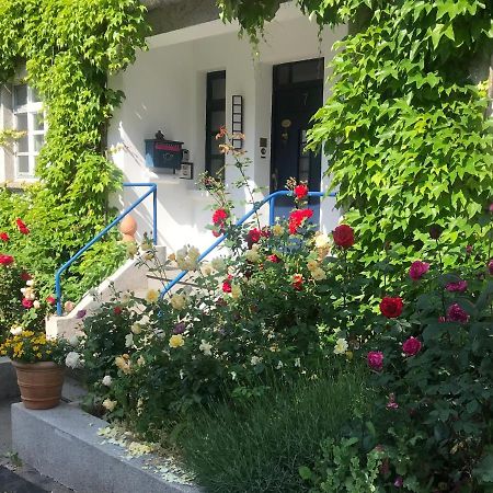 Kunsthaus Mit Gartensauna Dierdorf Exteriér fotografie