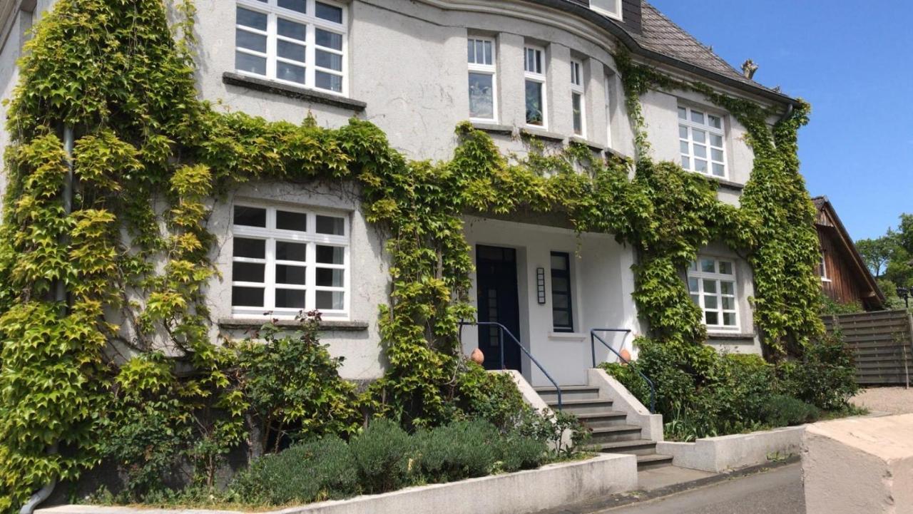 Kunsthaus Mit Gartensauna Dierdorf Exteriér fotografie