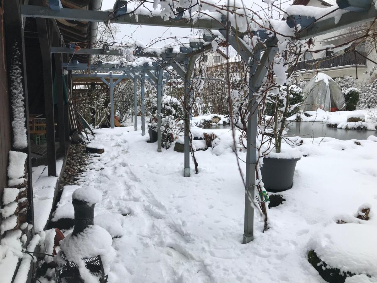 Kunsthaus Mit Gartensauna Dierdorf Exteriér fotografie