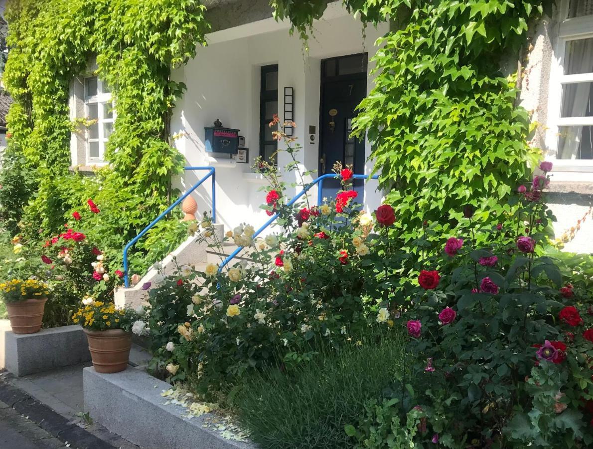 Kunsthaus Mit Gartensauna Dierdorf Exteriér fotografie