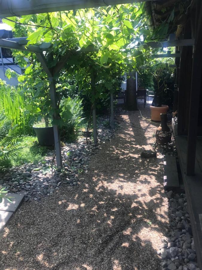 Kunsthaus Mit Gartensauna Dierdorf Exteriér fotografie